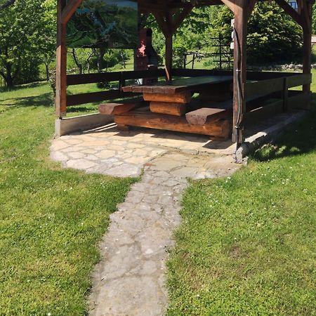 Guesthouse Mirko Hodak Seliste Dreznicko Exteriér fotografie