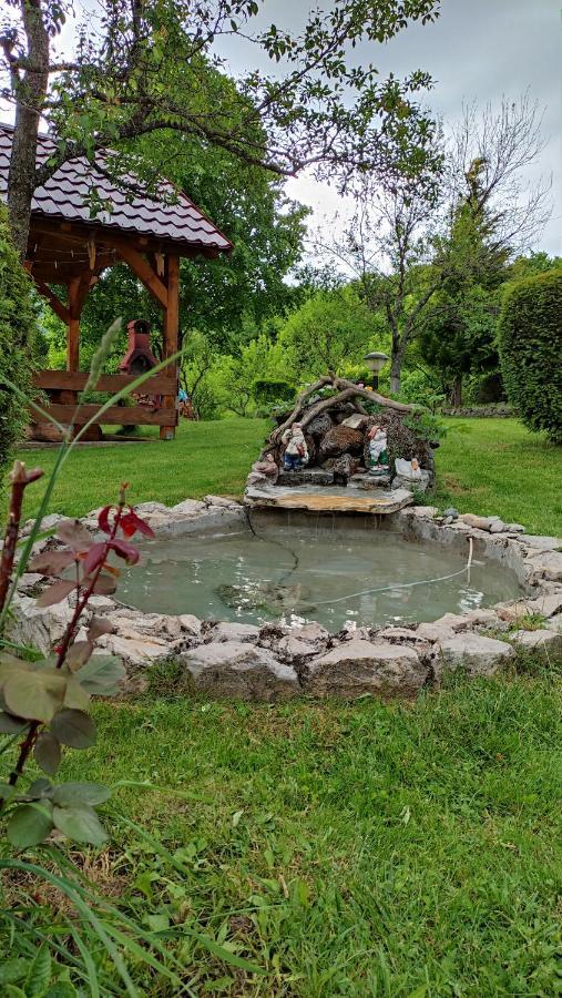 Guesthouse Mirko Hodak Seliste Dreznicko Exteriér fotografie