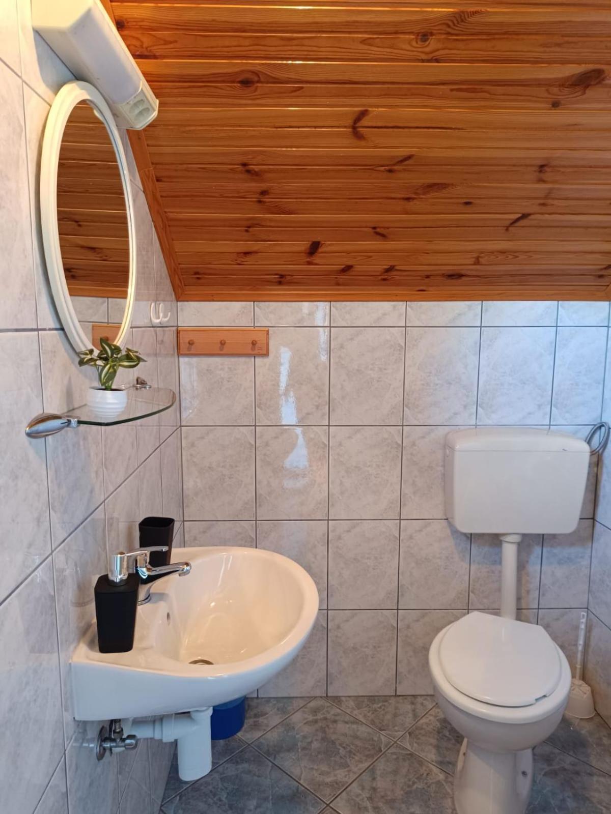Guesthouse Mirko Hodak Seliste Dreznicko Exteriér fotografie